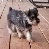 processed/dd663381-8f16-40b3-abef-d286489e18e0/facility/044ac0cc-ec5b-472b-a51c-49fe974ba99d