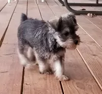 processed/dd663381-8f16-40b3-abef-d286489e18e0/facility/044ac0cc-ec5b-472b-a51c-49fe974ba99d