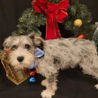 processed/dd663381-8f16-40b3-abef-d286489e18e0/facility/2814aea1-917f-40ea-9c88-3da7e7cf51f9