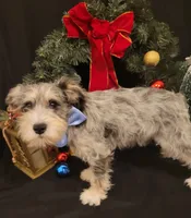 processed/dd663381-8f16-40b3-abef-d286489e18e0/facility/2814aea1-917f-40ea-9c88-3da7e7cf51f9