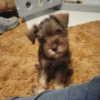 processed/dd663381-8f16-40b3-abef-d286489e18e0/facility/62f43fb5-434a-42d0-9f94-4ae4dad6502e