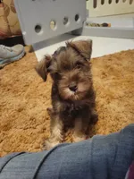 processed/dd663381-8f16-40b3-abef-d286489e18e0/facility/62f43fb5-434a-42d0-9f94-4ae4dad6502e