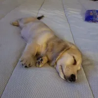 processed/dd663381-8f16-40b3-abef-d286489e18e0/facility/66378dec-aeb1-40c2-a6a2-e80419f91cac