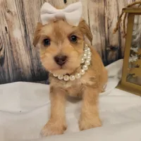 processed/dd663381-8f16-40b3-abef-d286489e18e0/facility/70ebbd3e-697b-4e4b-86ed-b7e4d18e1732