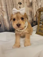 processed/dd663381-8f16-40b3-abef-d286489e18e0/facility/70ebbd3e-697b-4e4b-86ed-b7e4d18e1732