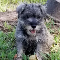 processed/dd663381-8f16-40b3-abef-d286489e18e0/facility/7638c583-d547-4735-97d3-3e2101e48e1d