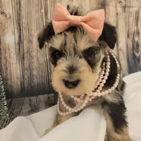 processed/dd663381-8f16-40b3-abef-d286489e18e0/facility/79946a02-18e8-427f-b401-3cf0e9415819