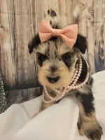 processed/dd663381-8f16-40b3-abef-d286489e18e0/facility/79946a02-18e8-427f-b401-3cf0e9415819