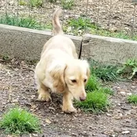 processed/dd663381-8f16-40b3-abef-d286489e18e0/facility/9551e767-eb9c-481a-a705-bcdc96200b4c