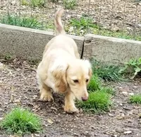 processed/dd663381-8f16-40b3-abef-d286489e18e0/facility/9551e767-eb9c-481a-a705-bcdc96200b4c