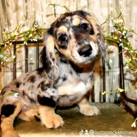 processed/dd663381-8f16-40b3-abef-d286489e18e0/facility/b447e8ca-806c-473e-a086-47059b9746ee