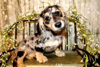 processed/dd663381-8f16-40b3-abef-d286489e18e0/facility/b447e8ca-806c-473e-a086-47059b9746ee