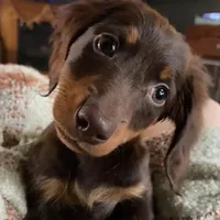 processed/dd663381-8f16-40b3-abef-d286489e18e0/facility/c141da68-0849-4144-8c02-c32d62a5ce33