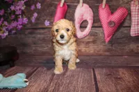 processed/dd663381-8f16-40b3-abef-d286489e18e0/listing/31c56f6b-f225-4408-9438-3c4d2c48ae42/0a78c364-0ea0-472f-9c4c-25745fd10551