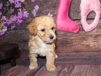 processed/dd663381-8f16-40b3-abef-d286489e18e0/listing/31c56f6b-f225-4408-9438-3c4d2c48ae42/202a3fc1-0b11-4385-8713-70a31233d8c3