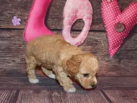 processed/dd663381-8f16-40b3-abef-d286489e18e0/listing/31c56f6b-f225-4408-9438-3c4d2c48ae42/3d01b800-6382-427e-aeba-4bc4f62ae7dd