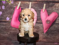 processed/dd663381-8f16-40b3-abef-d286489e18e0/listing/31c56f6b-f225-4408-9438-3c4d2c48ae42/61f2a1af-a497-4162-9af7-7f7c85d3fbbd