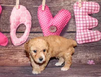 processed/dd663381-8f16-40b3-abef-d286489e18e0/listing/31c56f6b-f225-4408-9438-3c4d2c48ae42/ace30d60-3fa9-411c-89b8-73efd0dbba15