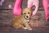 processed/dd663381-8f16-40b3-abef-d286489e18e0/listing/31c56f6b-f225-4408-9438-3c4d2c48ae42/c733bd4f-3b90-4351-a674-2b1fe603bbd9