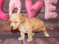 processed/dd663381-8f16-40b3-abef-d286489e18e0/listing/31c56f6b-f225-4408-9438-3c4d2c48ae42/e81f068e-1602-4d13-9029-89345b47e9f3