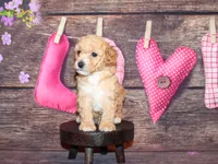 processed/dd663381-8f16-40b3-abef-d286489e18e0/listing/31c56f6b-f225-4408-9438-3c4d2c48ae42/eb84a110-fdba-4088-af17-b22357b36455