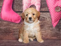 processed/dd663381-8f16-40b3-abef-d286489e18e0/listing/42d02b15-ccad-49b2-8a16-7d8c757d60d4/2f26a92e-f86a-49b8-b594-4e92ef05502e