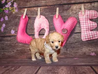 processed/dd663381-8f16-40b3-abef-d286489e18e0/listing/42d02b15-ccad-49b2-8a16-7d8c757d60d4/37d35772-814c-4089-b502-88b724840bdf