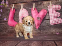 processed/dd663381-8f16-40b3-abef-d286489e18e0/listing/42d02b15-ccad-49b2-8a16-7d8c757d60d4/49f4dbae-a4a6-4749-9871-9dd64dfa5257