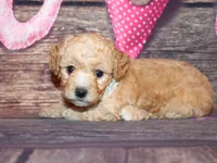 processed/dd663381-8f16-40b3-abef-d286489e18e0/listing/42d02b15-ccad-49b2-8a16-7d8c757d60d4/4d284e75-3c2c-4cd1-a421-11305bf803cb