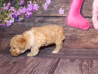 processed/dd663381-8f16-40b3-abef-d286489e18e0/listing/42d02b15-ccad-49b2-8a16-7d8c757d60d4/acd8daa8-6a75-414f-9e92-a09ec52f0c4f