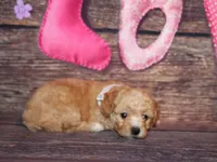 processed/dd663381-8f16-40b3-abef-d286489e18e0/listing/42d02b15-ccad-49b2-8a16-7d8c757d60d4/e726b615-e72e-4120-829d-c36ad4f9afed