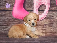 processed/dd663381-8f16-40b3-abef-d286489e18e0/listing/42d02b15-ccad-49b2-8a16-7d8c757d60d4/eab43375-ed0a-4002-adfd-761d74cc2d0a