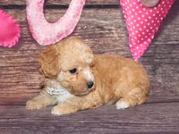 processed/dd663381-8f16-40b3-abef-d286489e18e0/listing/42d02b15-ccad-49b2-8a16-7d8c757d60d4/f48023f6-25f2-4a61-856d-e6685697a313