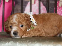 processed/dd663381-8f16-40b3-abef-d286489e18e0/listing/7db15758-2769-4815-8c3a-645f2d7ca865/0c76c066-d5cf-4c4a-acfc-43d4bbea9449