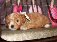 processed/dd663381-8f16-40b3-abef-d286489e18e0/listing/7db15758-2769-4815-8c3a-645f2d7ca865/142abdca-acb2-482d-940d-f679794c79ca