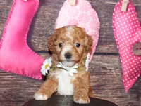 processed/dd663381-8f16-40b3-abef-d286489e18e0/listing/7db15758-2769-4815-8c3a-645f2d7ca865/23e7bfd5-41da-4569-9d72-b4e6a92dbd00