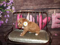 processed/dd663381-8f16-40b3-abef-d286489e18e0/listing/7db15758-2769-4815-8c3a-645f2d7ca865/66767076-1263-4b65-8295-0d5933af3bd4