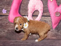 processed/dd663381-8f16-40b3-abef-d286489e18e0/listing/7db15758-2769-4815-8c3a-645f2d7ca865/a22b9187-c328-4318-9b7a-7feed37024dd