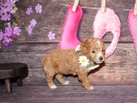 processed/dd663381-8f16-40b3-abef-d286489e18e0/listing/7db15758-2769-4815-8c3a-645f2d7ca865/a70da6e2-f53b-4483-9320-1c74f11e824e