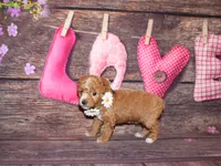 processed/dd663381-8f16-40b3-abef-d286489e18e0/listing/7db15758-2769-4815-8c3a-645f2d7ca865/edc8279c-0bd6-4815-8c76-f9eccc4dbc27