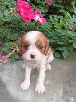 processed/dd66f3c8-2806-4e40-86c7-a0d6c776e47d/facility/205f793b-3cc8-4e4c-8039-1131e7125bc9