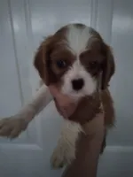 processed/dd66f3c8-2806-4e40-86c7-a0d6c776e47d/facility/21a81706-4517-4865-8fdd-c7d5e0d1329c