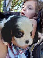 processed/dd66f3c8-2806-4e40-86c7-a0d6c776e47d/facility/4091d34d-5647-4dd1-b280-3c1469338ace