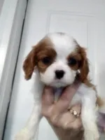 processed/dd66f3c8-2806-4e40-86c7-a0d6c776e47d/facility/4b2cb1fe-1d18-41e2-afa3-77d053d1a5b4