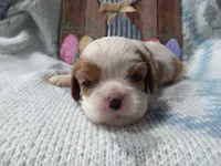 processed/dd66f3c8-2806-4e40-86c7-a0d6c776e47d/facility/693ca481-ebc0-42cb-bb8a-0b022508c142