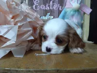 processed/dd66f3c8-2806-4e40-86c7-a0d6c776e47d/facility/7571b78c-8aa4-48ba-9819-1926ef6861fd