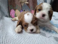 processed/dd66f3c8-2806-4e40-86c7-a0d6c776e47d/facility/abfe4d43-294a-4b8d-bbe2-eea996cdc38d