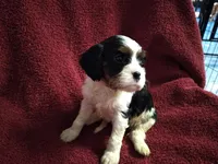 processed/dd66f3c8-2806-4e40-86c7-a0d6c776e47d/facility/ae4e0411-e900-4414-94b6-6370983e0828