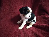 processed/dd66f3c8-2806-4e40-86c7-a0d6c776e47d/facility/dec31475-652b-47e6-93b6-e3dda9b14b5f