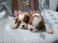 processed/dd66f3c8-2806-4e40-86c7-a0d6c776e47d/facility/f6f5171a-abd6-4e77-919b-bd34dc6e3902